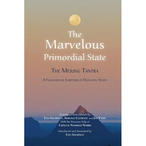 The Marvelous Primordial State - Paperback