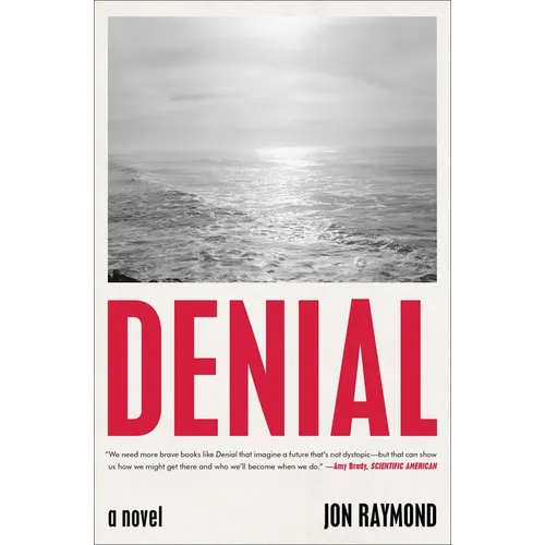 Denial - Paperback