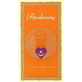 Awakening: A Sufi Experience - Paperback