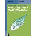 Single Variable Calculus - Paperback