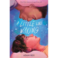 A Little Like Waking - Paperback
