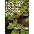 Black Dog Drinking from an Outdoor Pool - Paperback