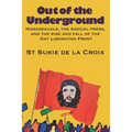 Out of the Underground: Homosexuality, The Radical Press, and the Rise and Fall of the Gay Liberation Front