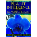 Plant Intelligence and the Imaginal Realm: Beyond the Doors of Perception Into the Dreaming of Earth - Paperback