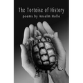 The Tortoise of History - Paperback