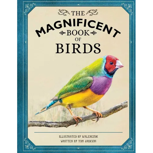 The Magnificent Book of Birds - Hardcover