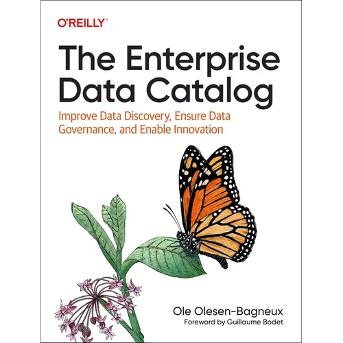 The Enterprise Data Catalog: Improve Data Discovery, Ensure Data Governance, and Enable Innovation - Paperback