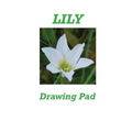 Lily Drawing Pad - Paperback
