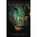 Saint: A Paradise Novel - Paperback