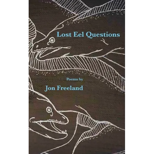 Lost Eel Questions - Paperback