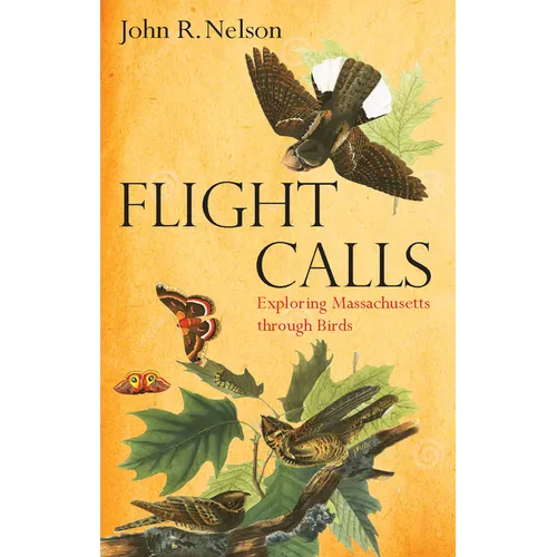 Flight Calls: Exploring Massachusetts Through Birds - Paperback