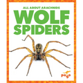 Wolf Spiders - Library Binding