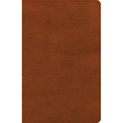 NASB Large Print Thinline Bible, Burnt Sienna Leathertouch - Imitation Leather