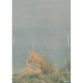 Rinko Kawauchi: Ametsuchi - Hardcover