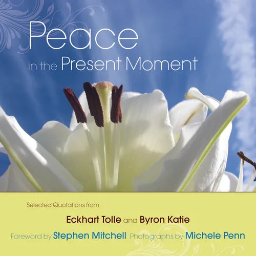Peace in the Present Moment - Hardcover