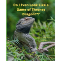 Do I Even Look Like a Game of Thrones Dragon: Paper and Pencil Games - Paperback