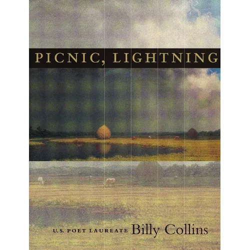 Picnic, Lightning - Paperback
