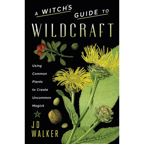 A Witch's Guide to Wildcraft: Using Common Plants to Create Uncommon Magick - Paperback