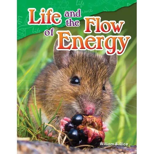 Life and the Flow of Energy - Paperback