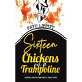 Sixteen Chickens on a Trampoline - Paperback