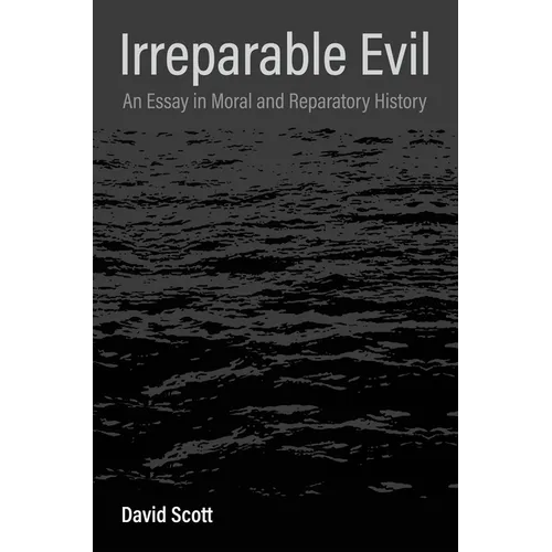 Irreparable Evil: An Essay in Moral and Reparatory History - Paperback