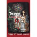 Treasure at Turtle Lake - Paperback