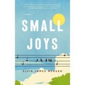 Small Joys - Paperback