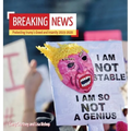 Breaking News: Protesting trump's Greed and Insanity 2019-2020 - Hardcover