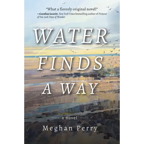 Water Finds a Way a Novel - Hardcover