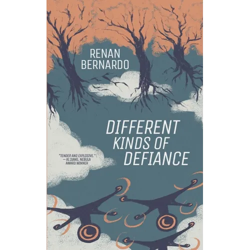 Different Kinds of Defiance - Paperback