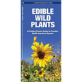 Edible Wild Plants: A Folding Pocket Guide to Familiar North American Species