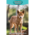 Dingoes - Hardcover