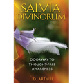 Salvia Divinorum: Doorway to Thought-Free Awareness - Paperback