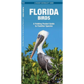Florida Birds: A Folding Pocket Guide to Familiar Species
