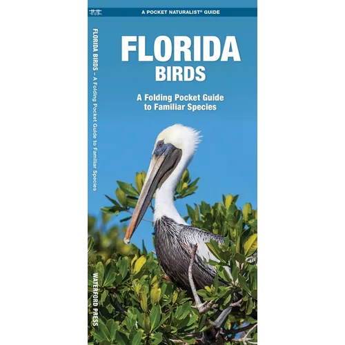 Florida Birds: A Folding Pocket Guide to Familiar Species
