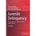 Juvenile Delinquency: Theory, Research, and the Juvenile Justice Process - Paperback