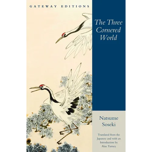 The Three Cornered World - Paperback