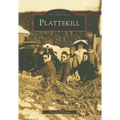 Plattekill