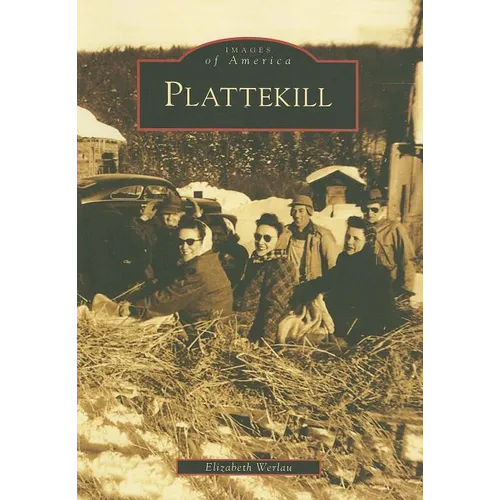 Plattekill