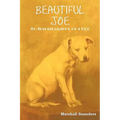 Beautiful Joe - Paperback