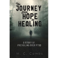 The Journey from Hope to Healing - Paperback