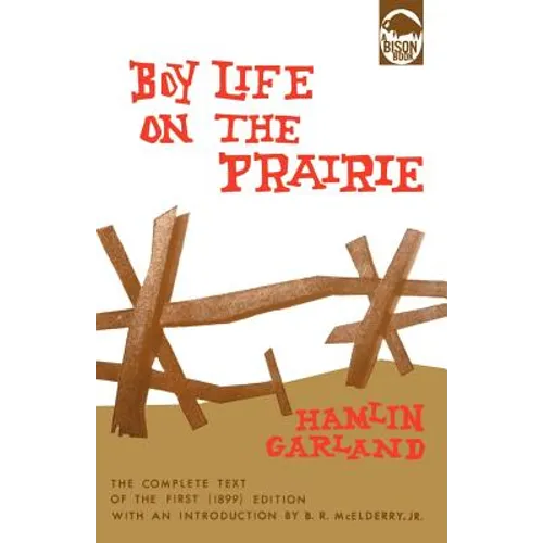 Boy Life on the Prairie