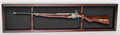 Rifle Gun Display Case Wall Cabinet UV Protection Lockable.