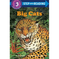 Big Cats - Paperback