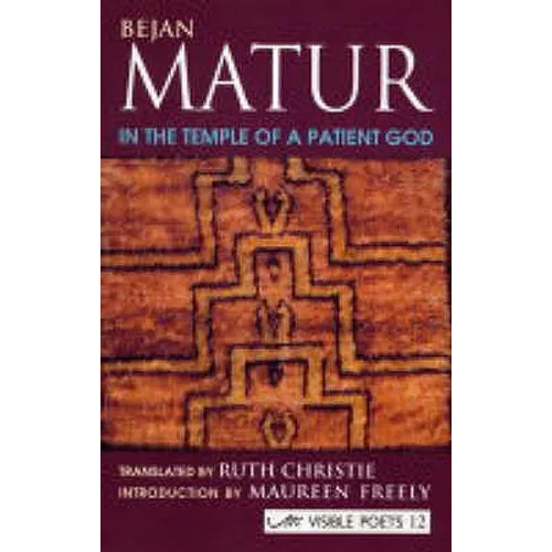 In The Temple Of A Patient God - Paperback