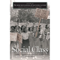 The New Encyclopedia of Southern Culture: Volume 20: Social Class