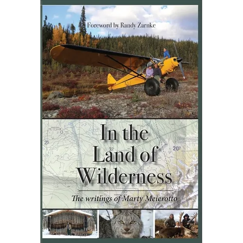 In the Land of Wilderness - Paperback