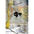Reliquary of Debt - Paperback