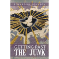 Getting Past the Junk - Paperback
