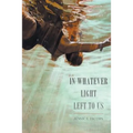 In Whatever Light Left to Us - Paperback